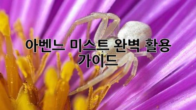 아벤느 미스트, 완벽 활용 가이드