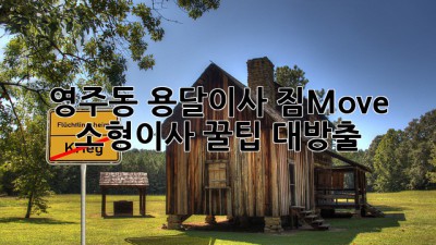 영주동 용달이사, 짐Move🚚💨 소형이사 꿀팁🍯 대방출!