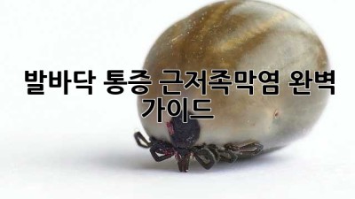 발바닥 통증? 근저족막염 완벽 가이드!