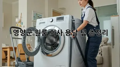 영양군 원룸 이사, 용달 팁 총정리!